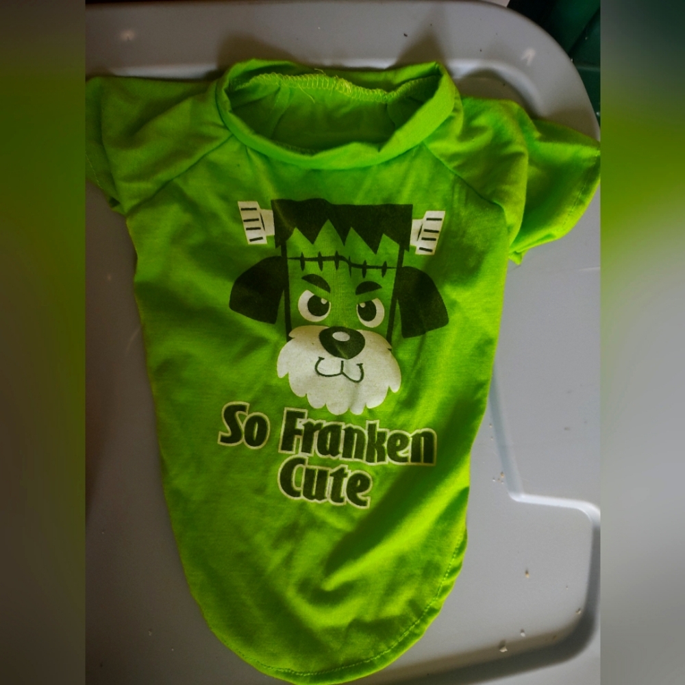 Green pet shirt size small